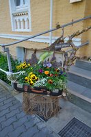 Eingang der Einrichtung