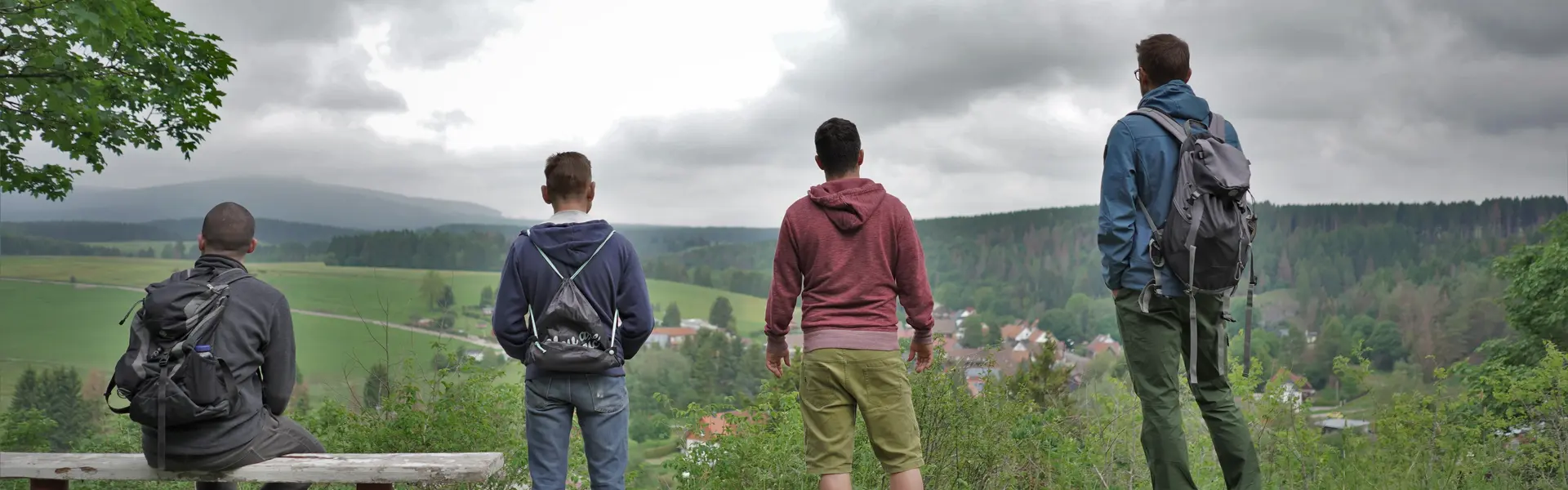 vier männliche Wanderer von hinten im Grünen